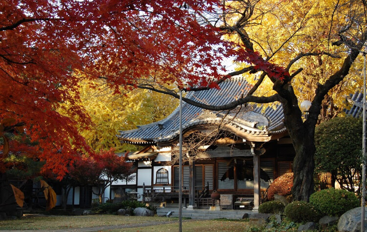 165-0022 東京都中野区江古田1丁目6 4 蓮華寺付属哲学堂動物霊園 ペット霊園 動物霊園