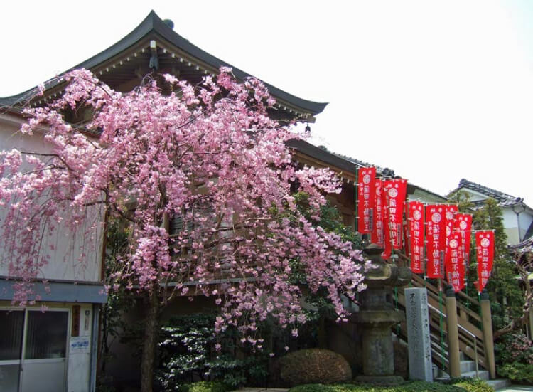 ペット 霊園 蒲田 不動尊 大楽寺